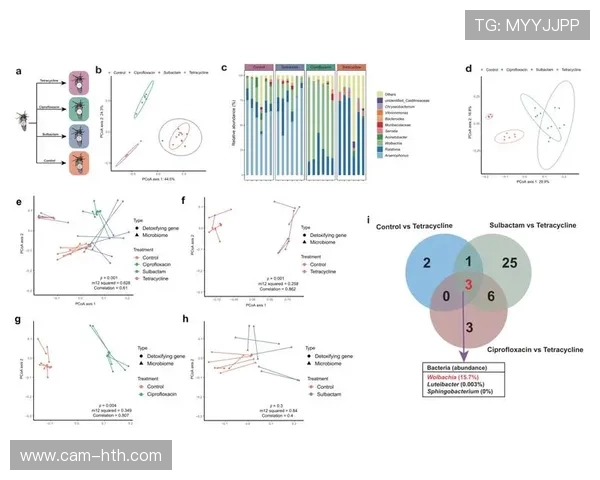 菲尔特斯破百米纪录，传感器数据揭示技术细节